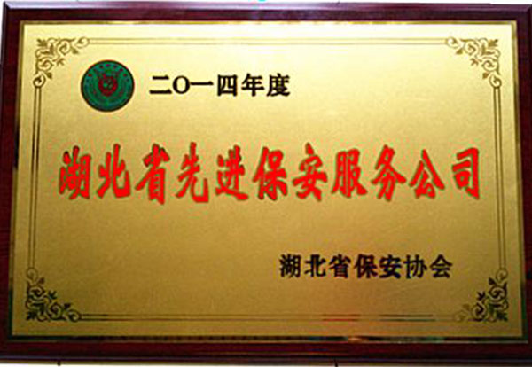 2014年先進保安服務公司